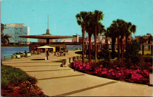 Jacksonville johns - fl,