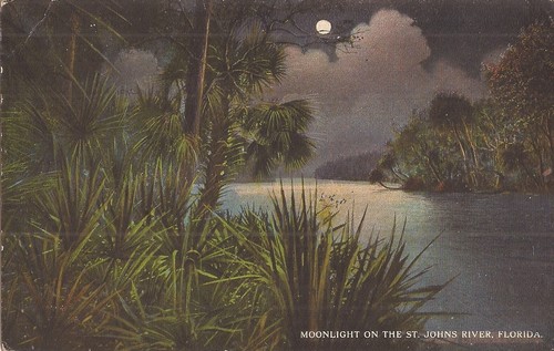 Moonlight johns river - ,